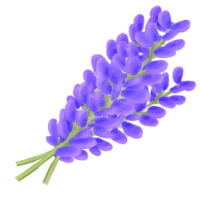 Indigo (x150)