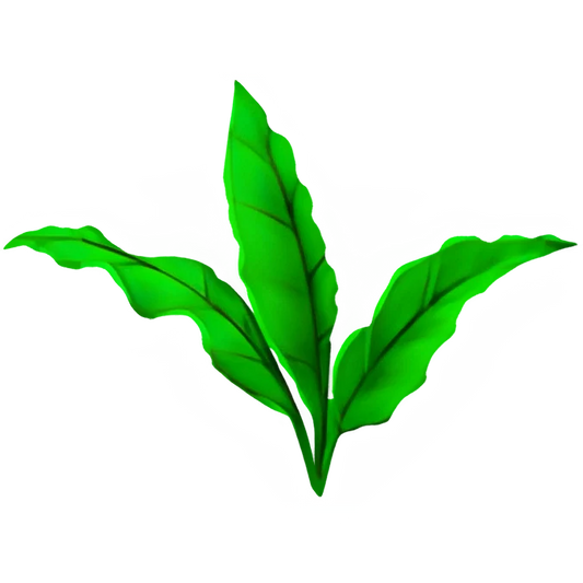 Tea leaf (x150)